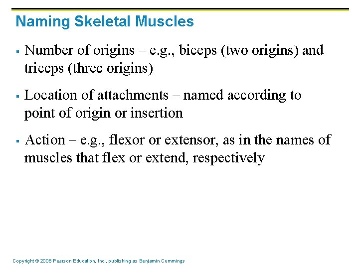 Naming Skeletal Muscles § § § Number of origins – e. g. , biceps