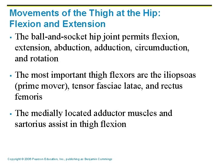 Movements of the Thigh at the Hip: Flexion and Extension § The ball-and-socket hip