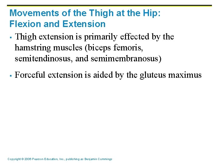Movements of the Thigh at the Hip: Flexion and Extension § Thigh extension is