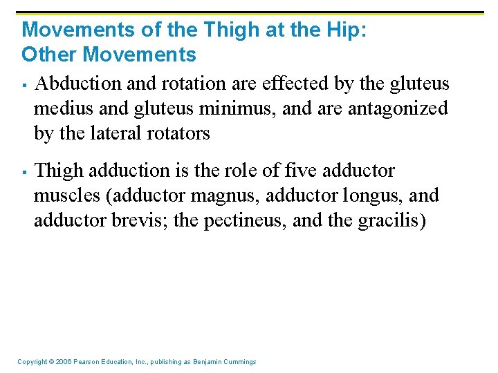 Movements of the Thigh at the Hip: Other Movements § Abduction and rotation are