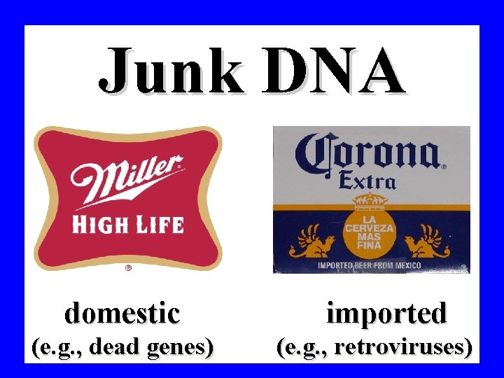 junk dna domestic e g dead genes imported