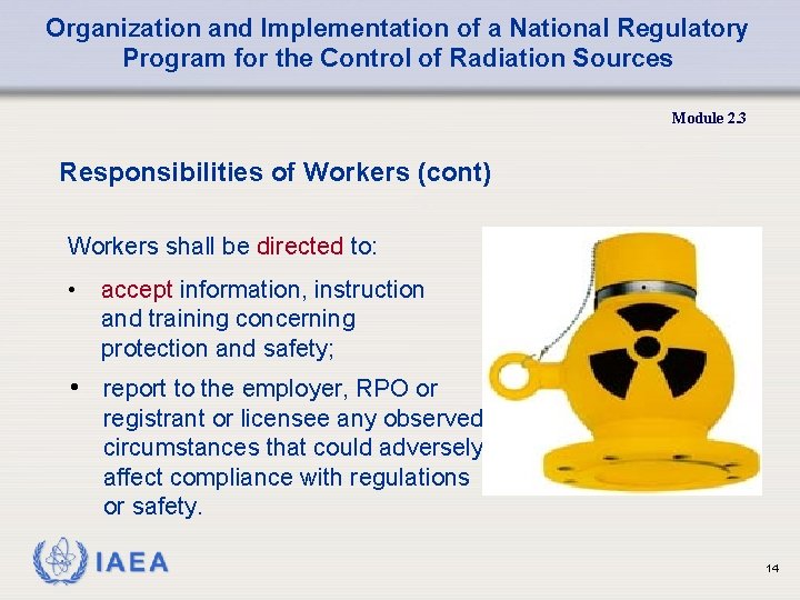 Organization and Implementation of a National Regulatory Program for the Control of Radiation Sources