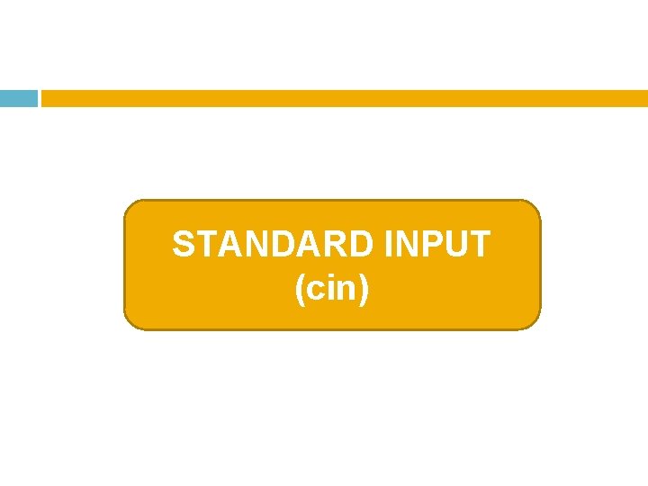 STANDARD INPUT (cin) 