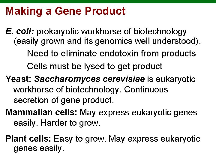 Making a Gene Product E. coli: prokaryotic workhorse of biotechnology (easily grown and its