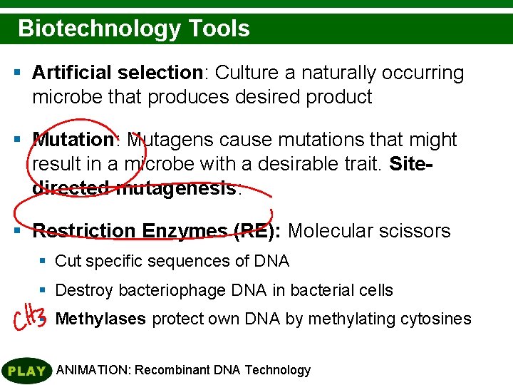 Selection and Mutation Biotechnology Tools § Artificial selection: Culture a naturally occurring microbe that