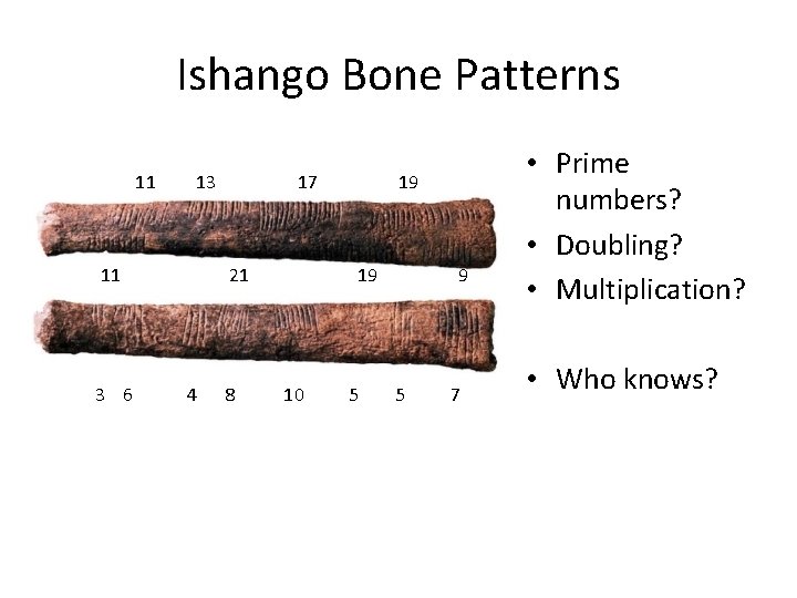 Ishango Bone Patterns 11 13 17 19 11 21 19 9 3 6 4