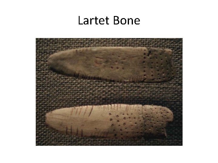 Lartet Bone 