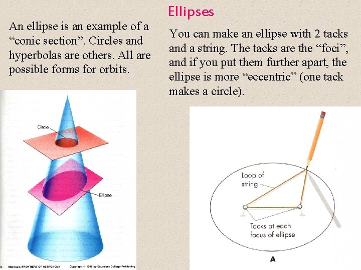 An ellipse is an example of a “conic section”. Circles and hyperbolas are others.