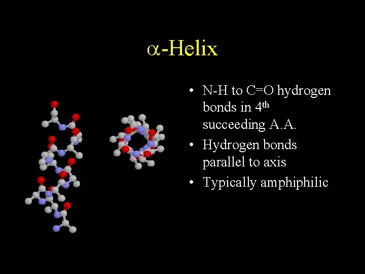 a-Helix • N-H to C=O hydrogen bonds in 4 th succeeding A. A. •