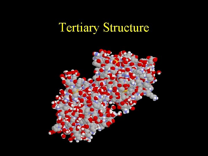 Tertiary Structure 