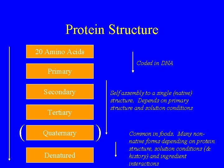 Protein Structure 20 Amino Acids Coded in DNA Primary Secondary Self assembly to a