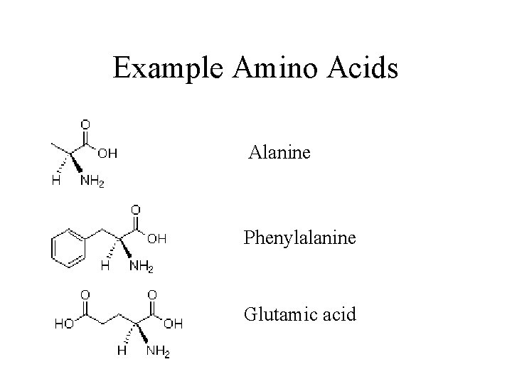 Example Amino Acids Alanine Phenylalanine Glutamic acid 