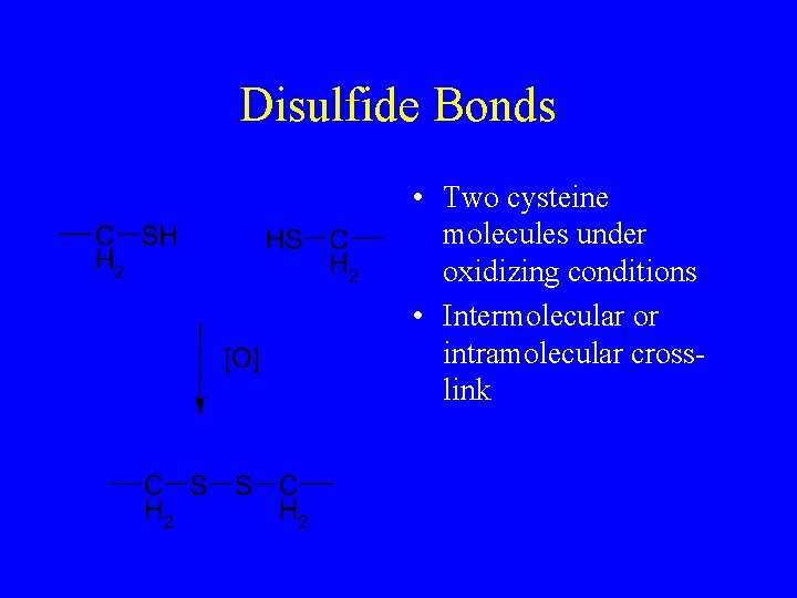 Disulfide Bonds • Two cysteine molecules under oxidizing conditions • Intermolecular or intramolecular crosslink