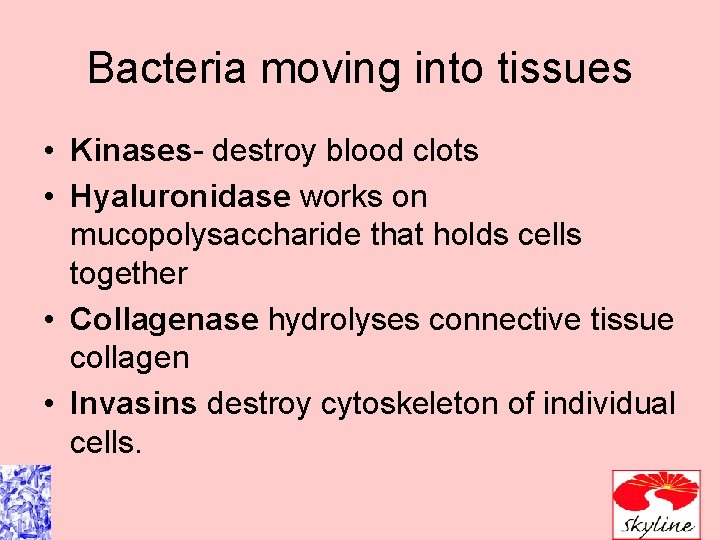 Bacteria moving into tissues • Kinases- destroy blood clots • Hyaluronidase works on mucopolysaccharide