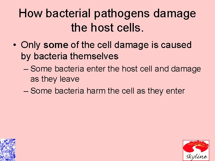 How bacterial pathogens damage the host cells. • Only some of the cell damage