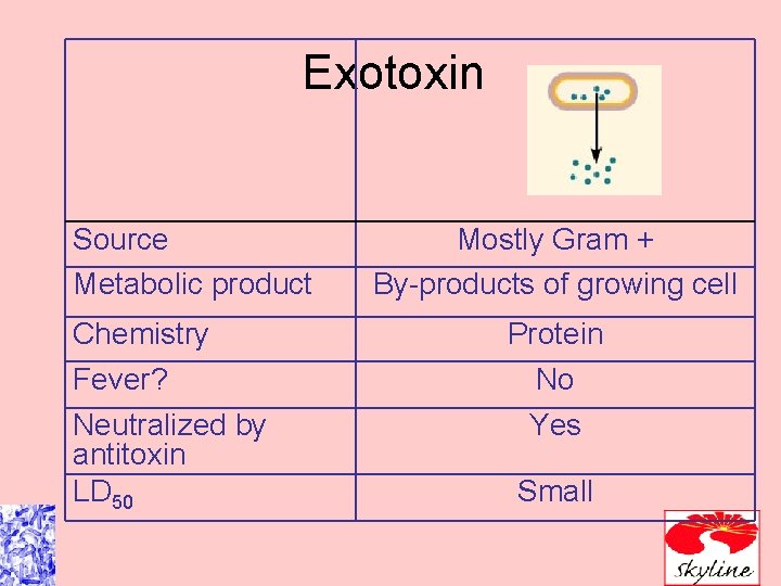 Exotoxin Source Metabolic product Chemistry Fever? Neutralized by antitoxin LD 50 Mostly Gram +