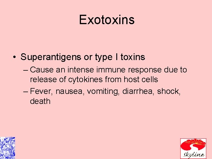 Exotoxins • Superantigens or type I toxins – Cause an intense immune response due