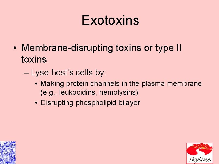 Exotoxins • Membrane-disrupting toxins or type II toxins – Lyse host’s cells by: •
