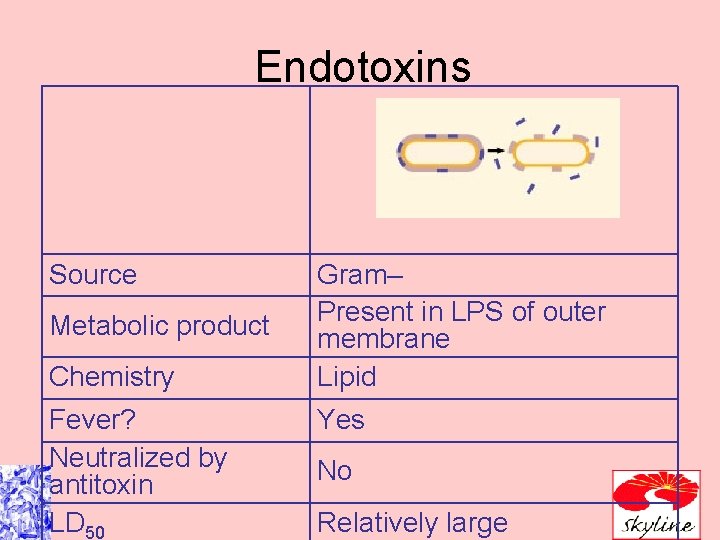 Endotoxins Source Metabolic product Chemistry Fever? Neutralized by antitoxin LD 50 Gram– Present in
