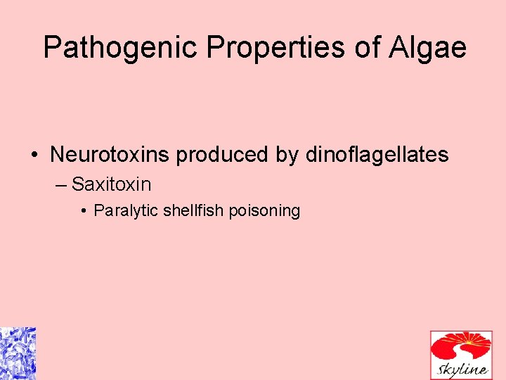 Pathogenic Properties of Algae • Neurotoxins produced by dinoflagellates – Saxitoxin • Paralytic shellfish