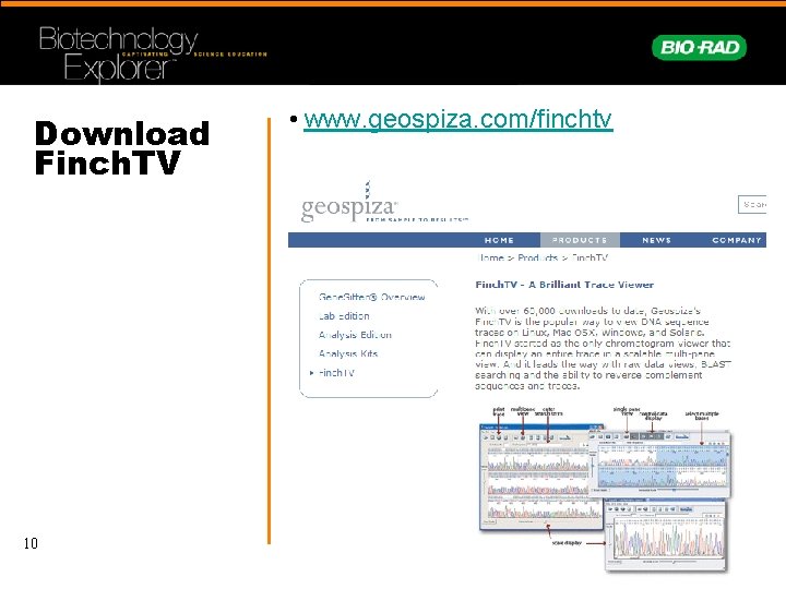 Download Finch. TV 10 • www. geospiza. com/finchtv 