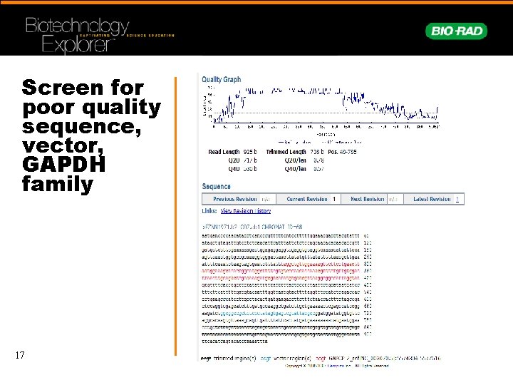 Screen for poor quality sequence, vector, GAPDH family 17 