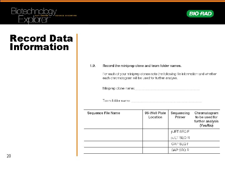 Record Data Information 20 
