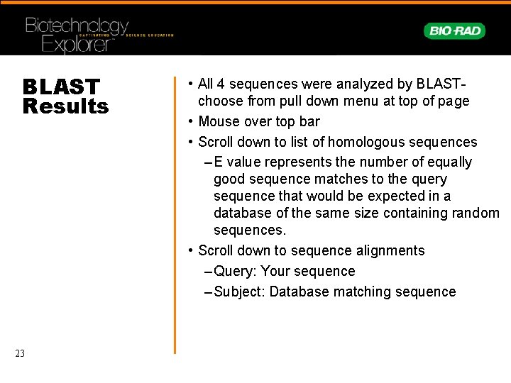 BLAST Results 23 • All 4 sequences were analyzed by BLASTchoose from pull down