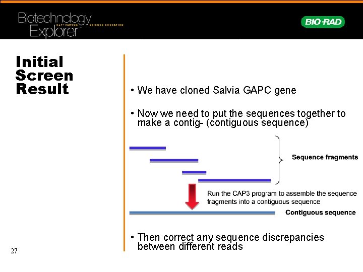 Initial Screen Result • We have cloned Salvia GAPC gene • Now we need
