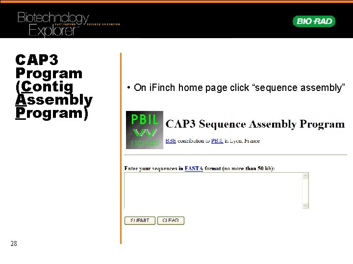 CAP 3 Program (Contig Assembly Program) 28 • On i. Finch home page click