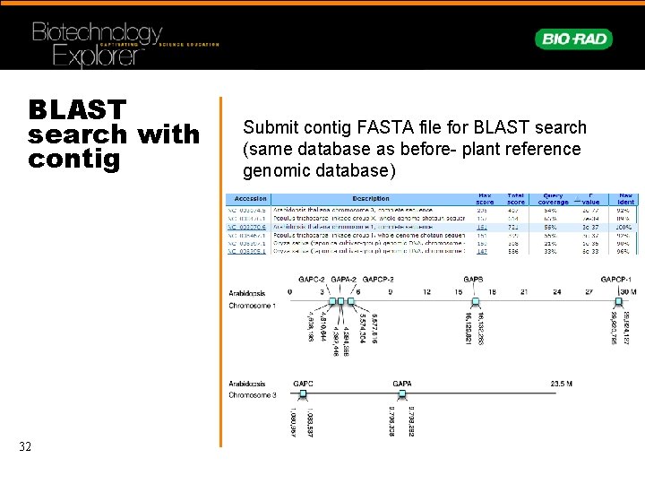 BLAST search with contig 32 Submit contig FASTA file for BLAST search (same database