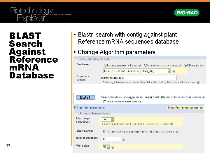 BLAST Search Against Reference m. RNA Database 37 • Blastn search with contig against