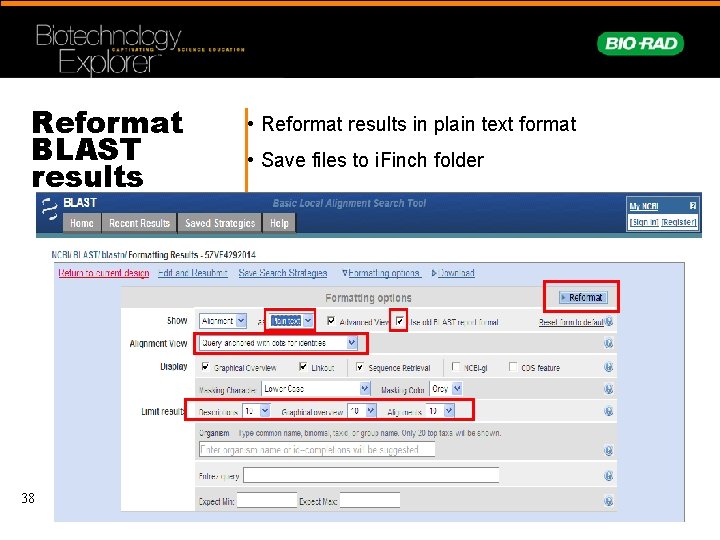 Reformat BLAST results 38 • Reformat results in plain text format • Save files