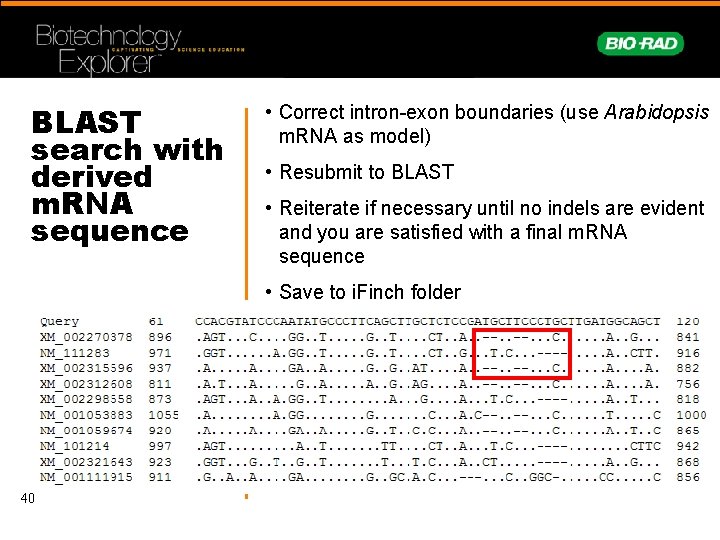 BLAST search with derived m. RNA sequence • Correct intron-exon boundaries (use Arabidopsis m. BLAST search with derived m. RNA sequence • Correct intron-exon boundaries (use Arabidopsis m.