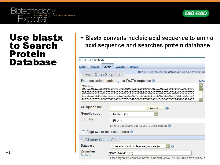 Use blastx to Search Protein Database 41 • Blastx converts nucleic acid sequence to