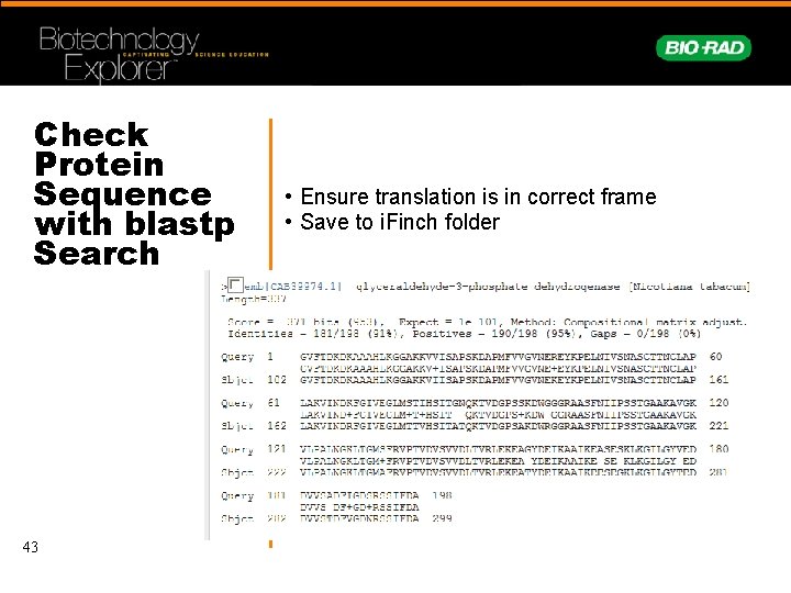 Check Protein Sequence with blastp Search 43 • Ensure translation is in correct frame