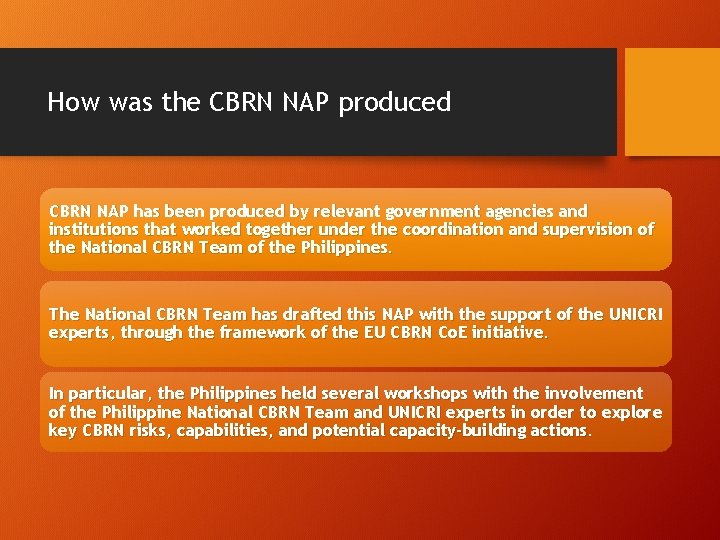 How was the CBRN NAP produced CBRN NAP has been produced by relevant government