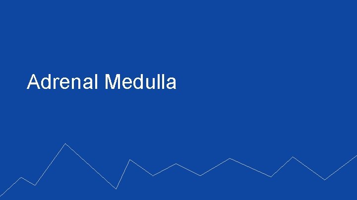 Adrenal Medulla 