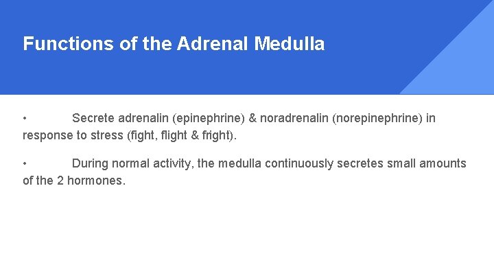 Functions of the Adrenal Medulla • Secrete adrenalin (epinephrine) & noradrenalin (norepinephrine) in response