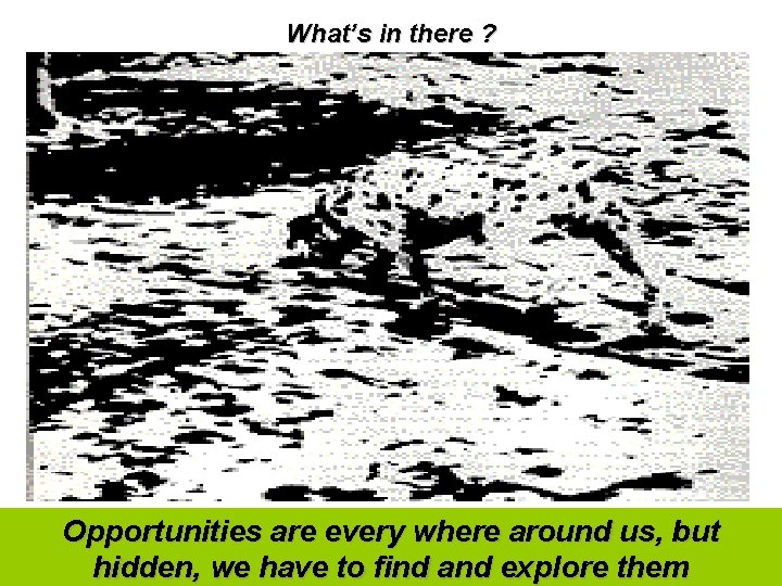 What’s in there ? Opportunities are every where around us, but hidden, we have