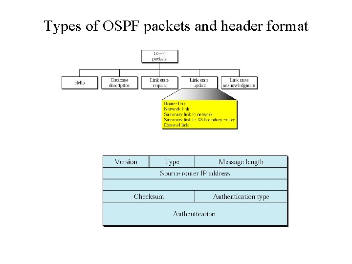 Types of OSPF packets and header format 