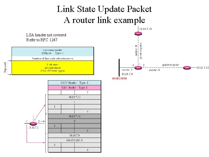 Link State Update Packet A router link example LSA header not covered Refer to