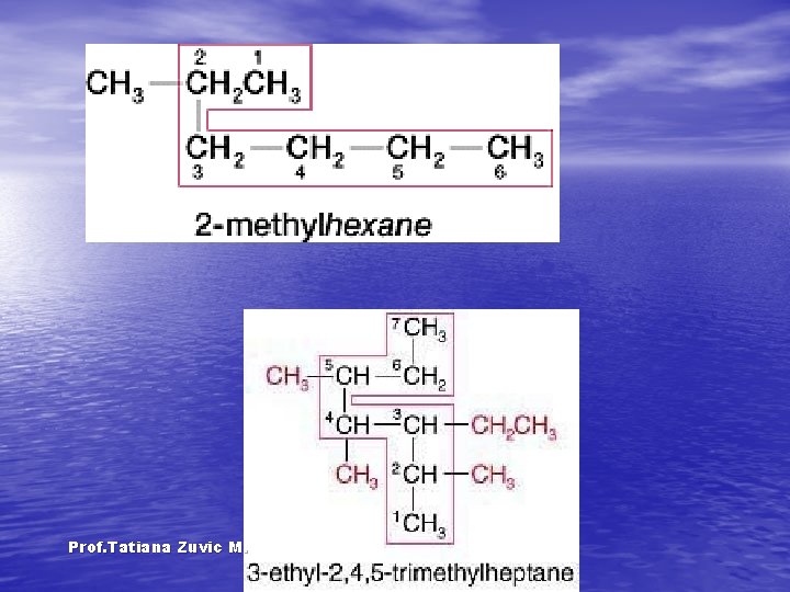 Prof. Tatiana Zuvic M. 