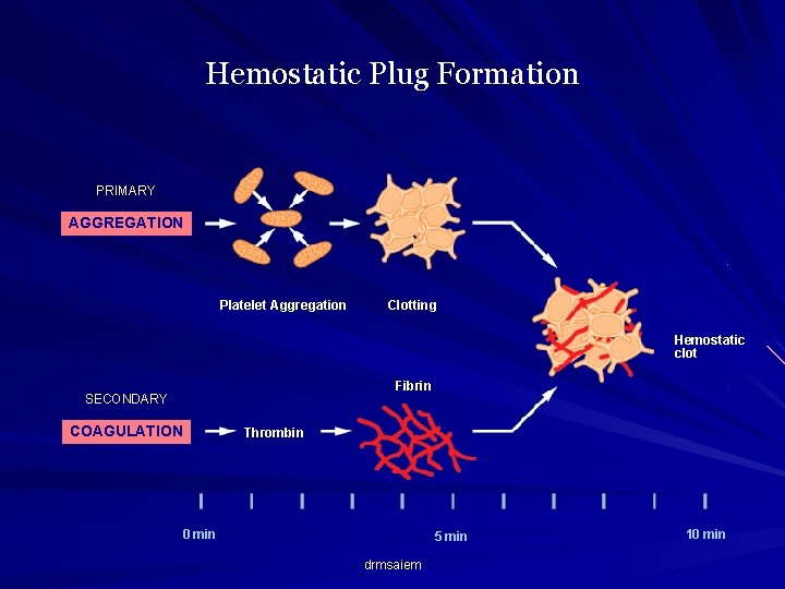 Hemostatic Plug Formation PRIMARY AGGREGATION Platelet Aggregation Clotting Hemostatic clot Fibrin SECONDARY COAGULATION Thrombin