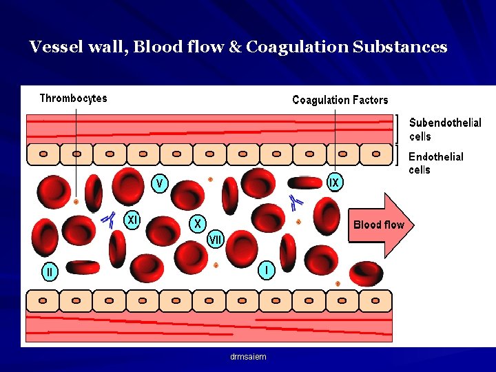 Vessel wall, Blood flow & Coagulation Substances drmsaiem 