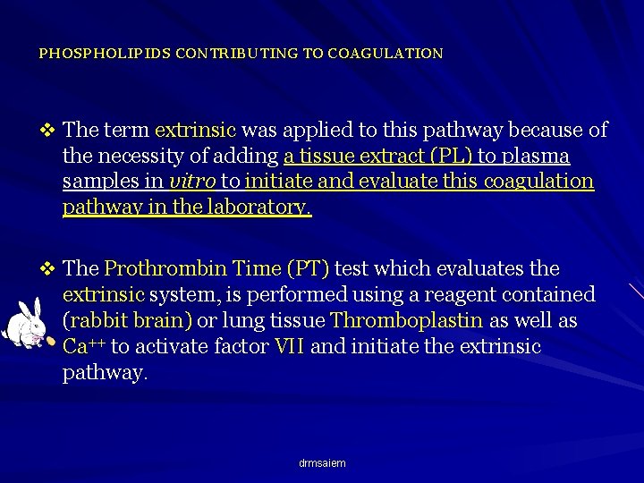 PHOSPHOLIPIDS CONTRIBUTING TO COAGULATION v The term extrinsic was applied to this pathway because