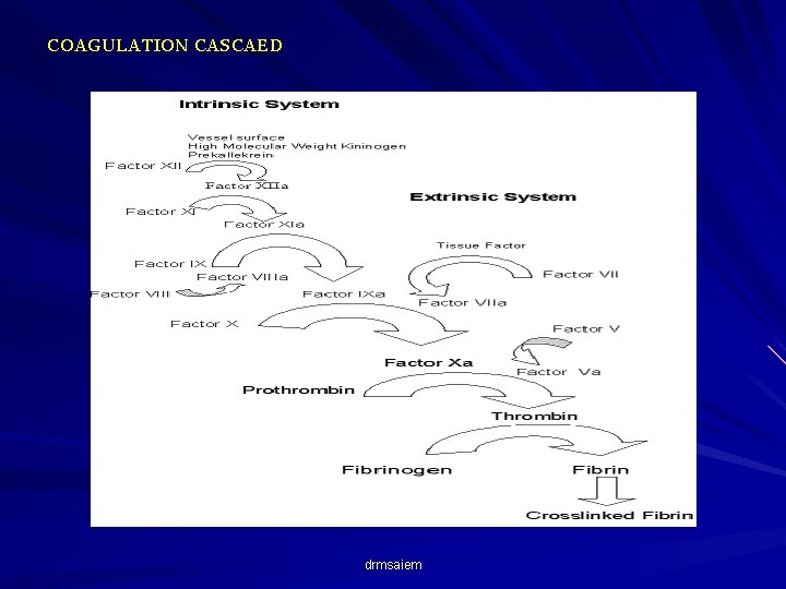 COAGULATION CASCAED drmsaiem 