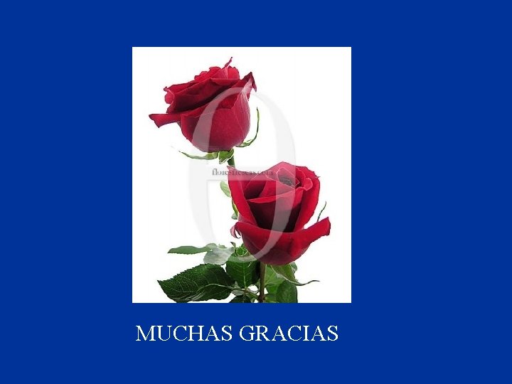 MUCHAS GRACIAS 