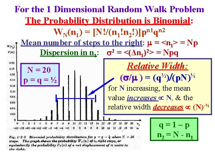 For the 1 Dimensional Random Walk Problem The Probability Distribution is Binomial: WN(n 1)