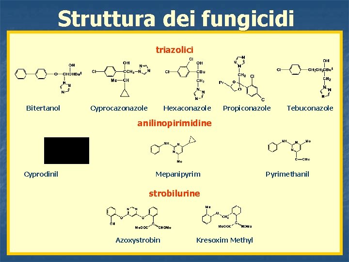 Struttura dei fungicidi triazolici Bitertanol Cyprocazonazole Hexaconazole Propiconazole Tebuconazole anilinopirimidine Cyprodinil Mepanipyrim strobilurine Azoxystrobin